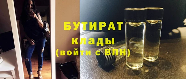 индика Осташков