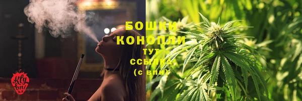 индика Осташков