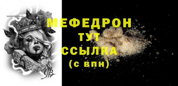 индика Осташков