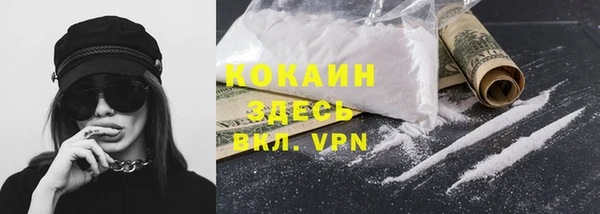 PSILOCYBIN Осинники