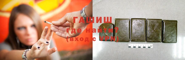 индика Осташков