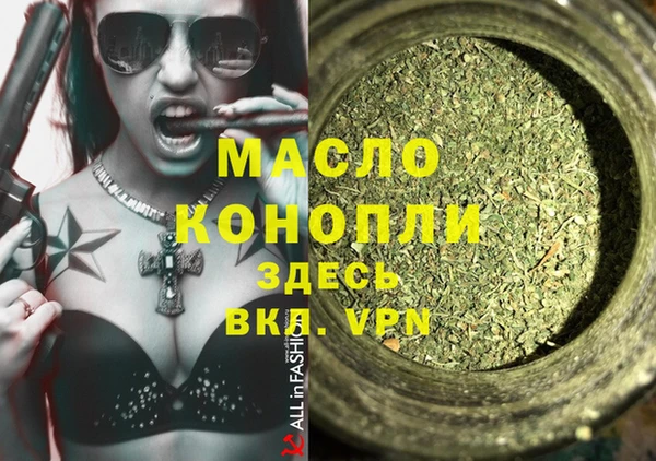 индика Осташков