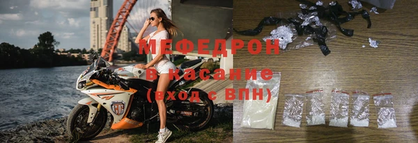 индика Осташков