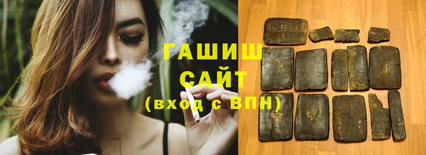 индика Осташков